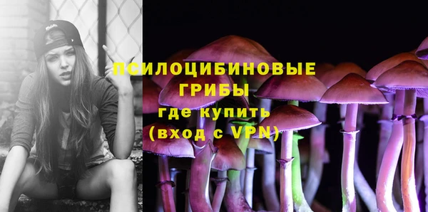 амф Алексеевка