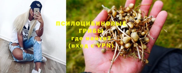 прущая мука Алзамай