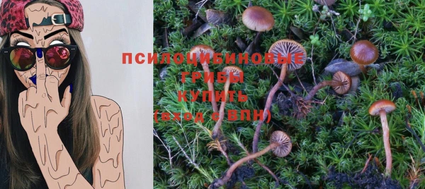 амф Алексеевка