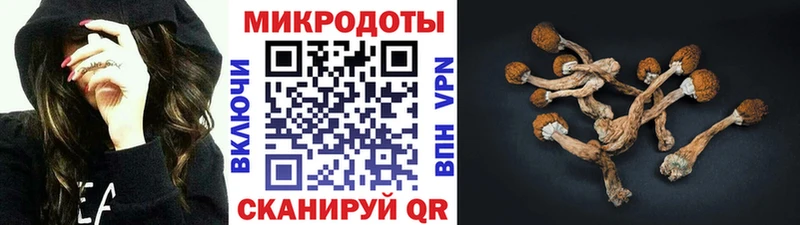купить наркоту Сосновый Бор Псилоцибиновые грибы GOLDEN TEACHER